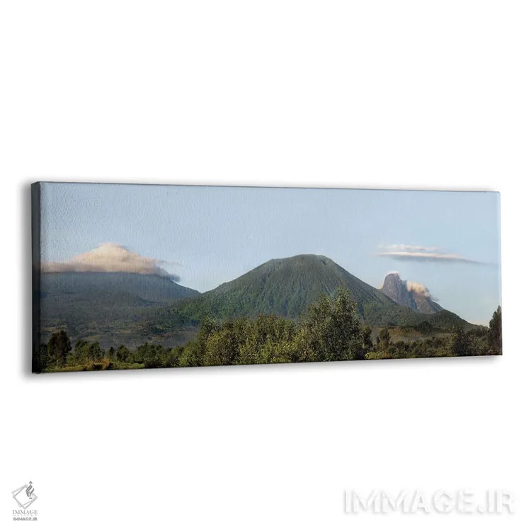 تابلو دکوراتیو Volcanoes National Park , Rwanda" - "منظر جنگل های بارا… اثر پانورامیک ایمجز - نمای پرسپکتیو محصول