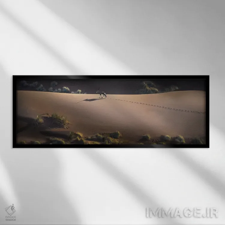 تابلو دکوراتیو Sossusvlei, Namib Desert, Namib-Naukluft National Park… اثر پانورامیک ایمجز - نمای قابدار مشکی