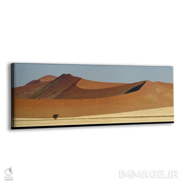 تابلو دکوراتیو Sossusvlei, Namib Desert, Namib-Naukluft National Park… اثر پانورامیک ایمجز - نمای پرسپکتیو محصول