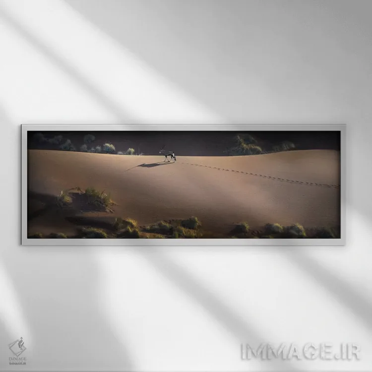 تابلو دکوراتیو Sossusvlei, Namib Desert, Namib-Naukluft National Park… اثر پانورامیک ایمجز - نمای قابدار سفید