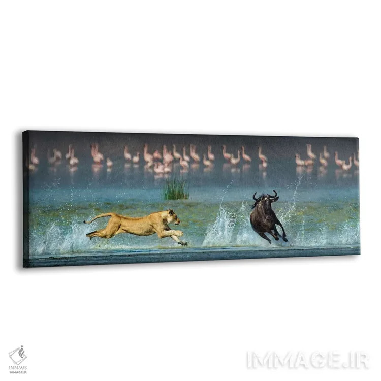 تابلو دکوراتیو Ngorongoro Conservation Area, Crater Highlands, Arusha… اثر پانورامیک ایمجز - نمای پرسپکتیو محصول