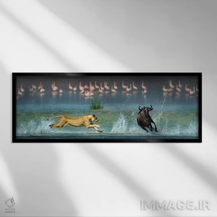 تابلو دکوراتیو Ngorongoro Conservation Area, Crater Highlands, Arusha… اثر پانورامیک ایمجز - نمای قابدار مشکی