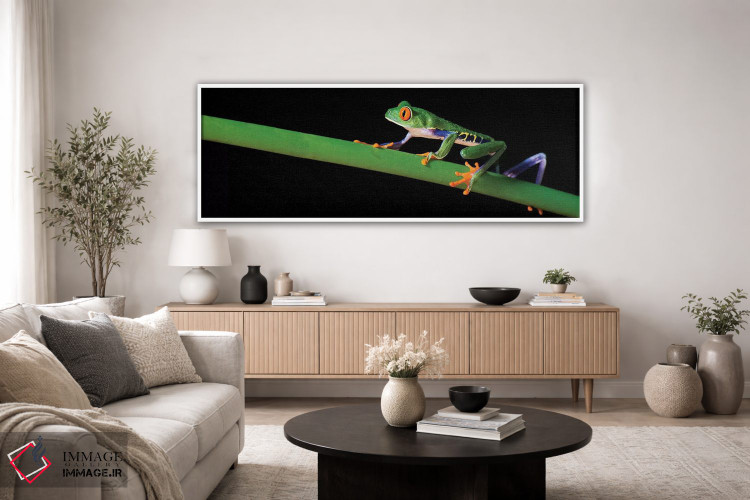 تابلو دکوراتیو Costa Rica" - "قورباغه درختی چشم قرمز، کاستاریکا" اثر پانورامیک ایمجز - D2W