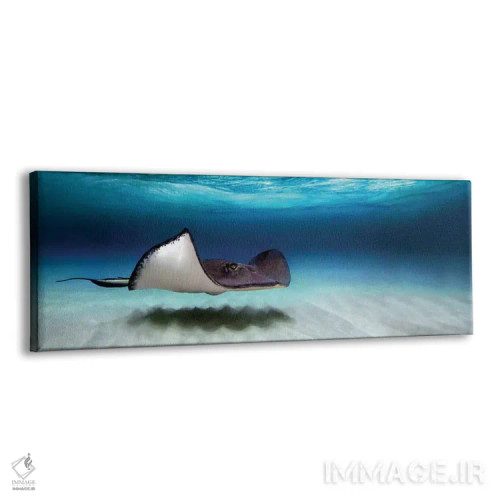 تابلو دکوراتیو North Sound, Grand Cayman, Cayman Islands" - "ماهی راوی… اثر پانورامیک ایمجز - نمای پرسپکتیو محصول