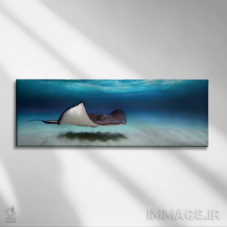 تابلو دکوراتیو North Sound, Grand Cayman, Cayman Islands" - "ماهی راوی… اثر پانورامیک ایمجز - نمای روبهرو روی دیوار