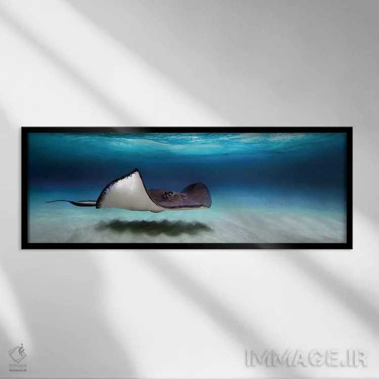 تابلو دکوراتیو North Sound, Grand Cayman, Cayman Islands" - "ماهی راوی… اثر پانورامیک ایمجز - نمای قابدار مشکی