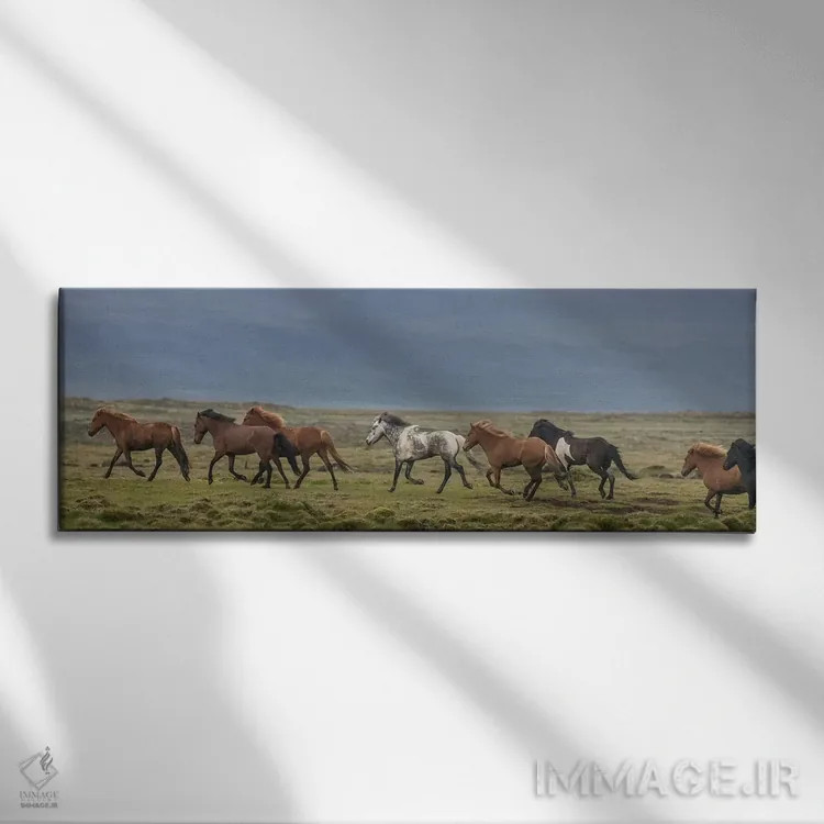 تابلو دکوراتیو گله اسب های ایسلندی در حال دویدن در روستا اثر پانورامیک ایمجز - نمای روبهرو روی دیوار