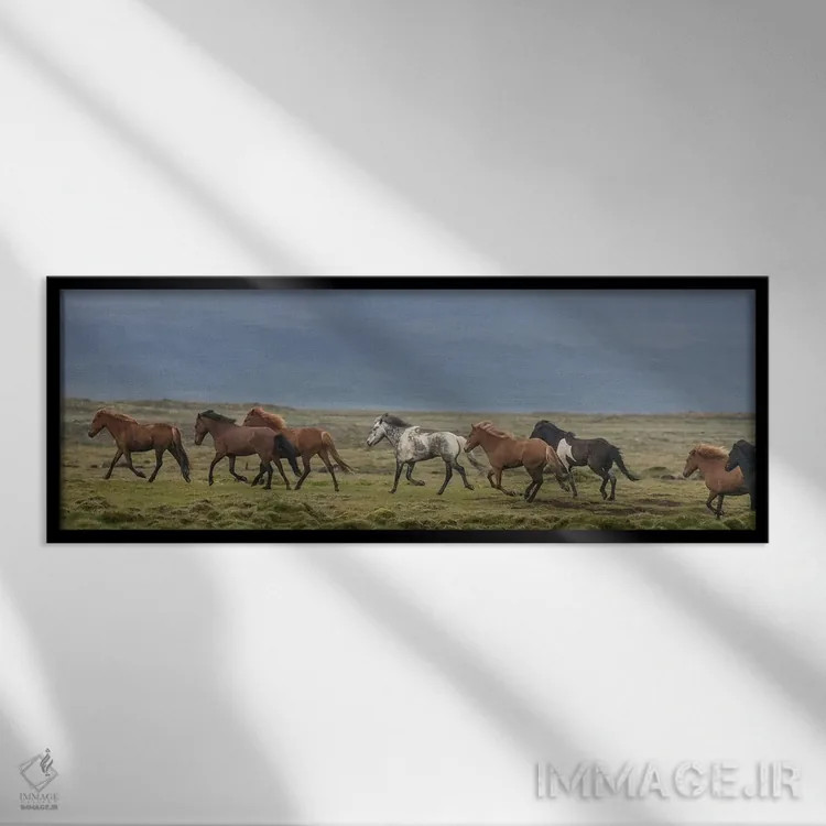تابلو دکوراتیو گله اسب های ایسلندی در حال دویدن در روستا اثر پانورامیک ایمجز - نمای قابدار مشکی
