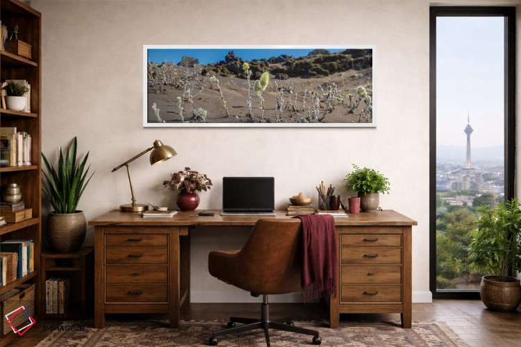 تابلو دکوراتیو Black Sands, Iceland" - "درخت بید پشمی، شن های سیاه، ای… اثر پانورامیک ایمجز - D1W