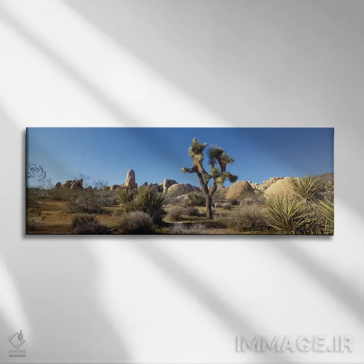 تابلو دکوراتیو Joshua Tree National Park, California, USA" - "منظره به… اثر پانورامیک ایمجز - نمای روبهرو روی دیوار