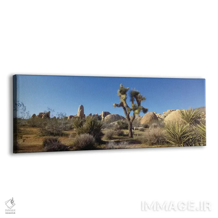 تابلو دکوراتیو Joshua Tree National Park, California, USA" - "منظره به… اثر پانورامیک ایمجز - نمای پرسپکتیو محصول