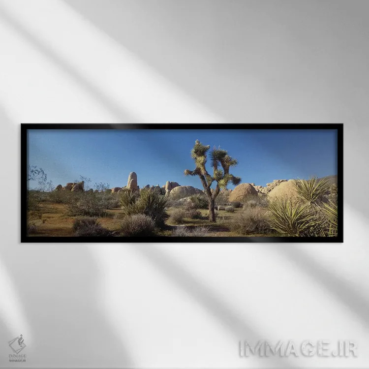 تابلو دکوراتیو Joshua Tree National Park, California, USA" - "منظره به… اثر پانورامیک ایمجز - نمای قابدار مشکی