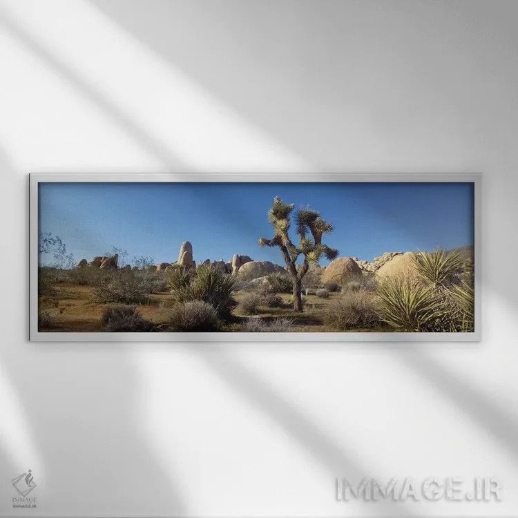 تابلو دکوراتیو Joshua Tree National Park, California, USA" - "منظره به… اثر پانورامیک ایمجز - نمای قابدار سفید