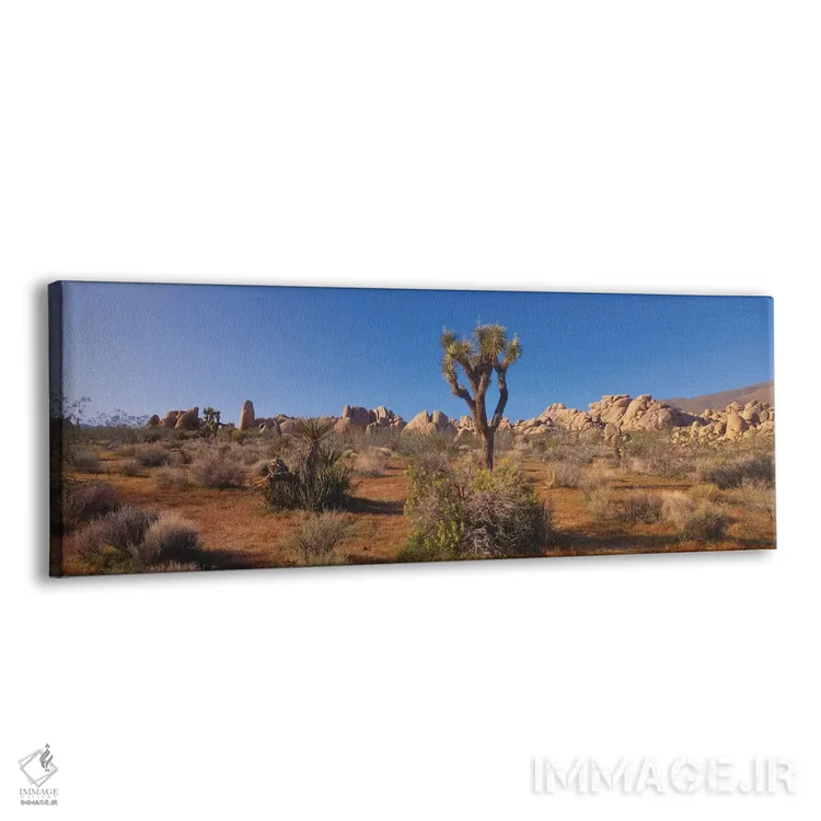 تابلو دکوراتیو Joshua Tree National Park, California, USA" - "منظره به… اثر پانورامیک ایمجز - نمای پرسپکتیو محصول