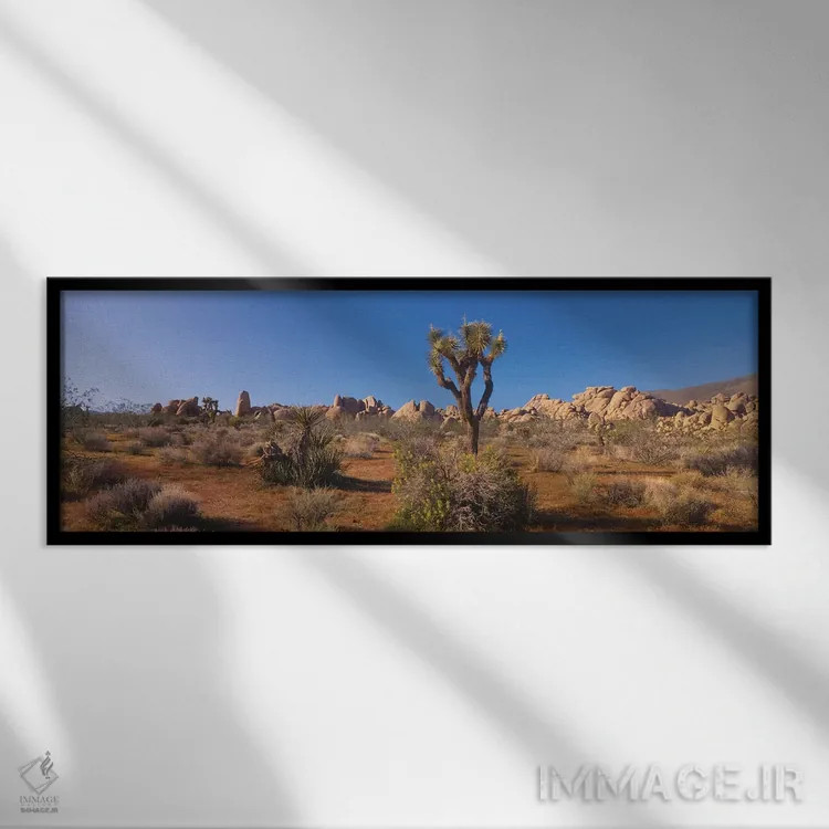 تابلو دکوراتیو Joshua Tree National Park, California, USA" - "منظره به… اثر پانورامیک ایمجز - نمای قابدار مشکی