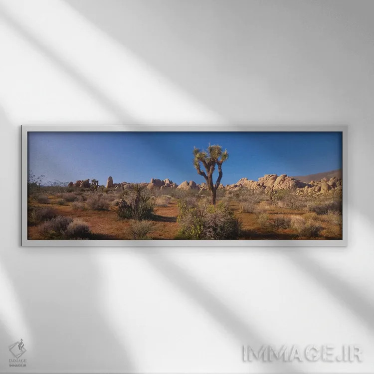تابلو دکوراتیو Joshua Tree National Park, California, USA" - "منظره به… اثر پانورامیک ایمجز - نمای قابدار سفید