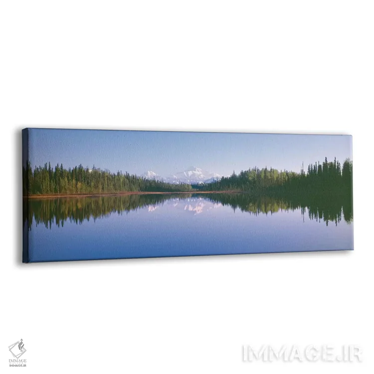 تابلو دکوراتیو Alaska Range, Denali National Park and Preserve, Alaska… اثر پانورامیک ایمجز - نمای پرسپکتیو محصول