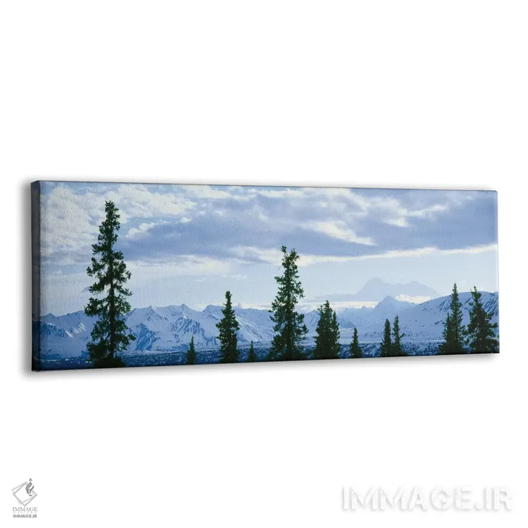 تابلو دکوراتیو Alaska Range, Denali National Park and Preserve, Alaska… اثر پانورامیک ایمجز - نمای پرسپکتیو محصول