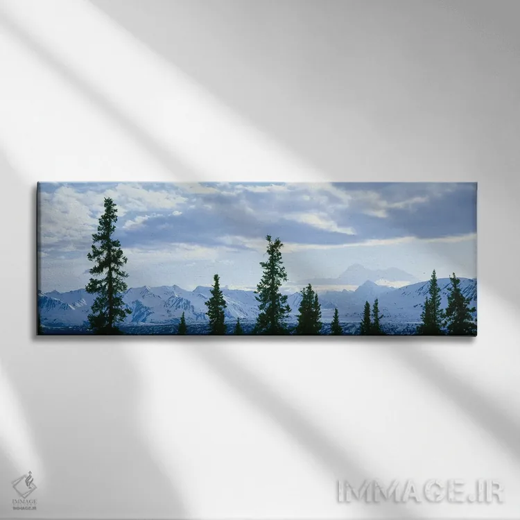 تابلو دکوراتیو Alaska Range, Denali National Park and Preserve, Alaska… اثر پانورامیک ایمجز - نمای روبهرو روی دیوار