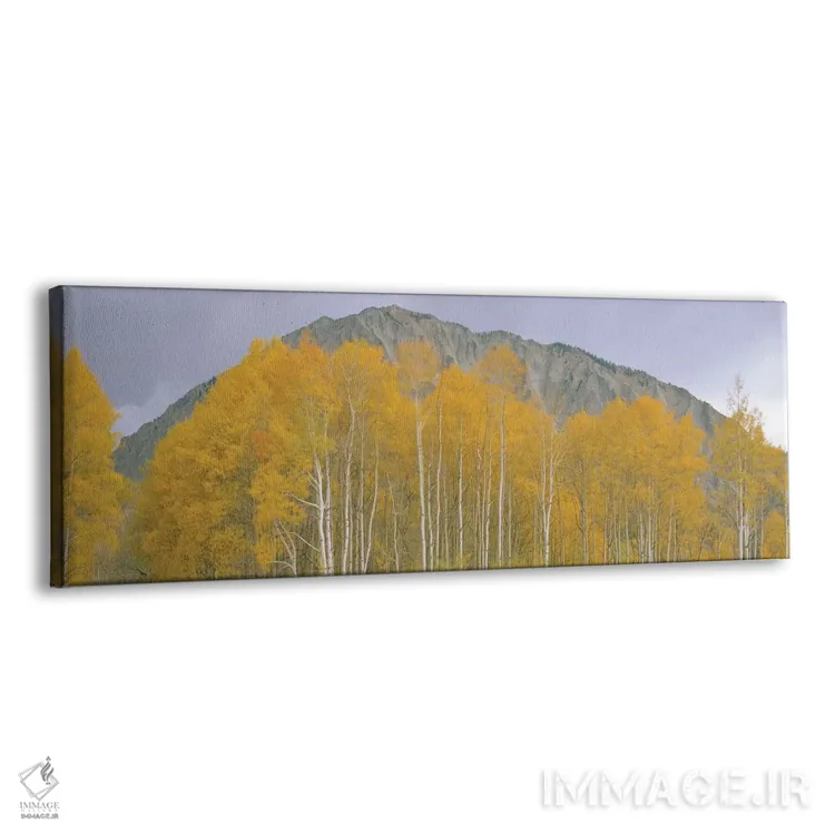 تابلو دکوراتیو Kebler Pass, Gunnison National Forest, Gunnison County… اثر پانورامیک ایمجز - نمای پرسپکتیو محصول