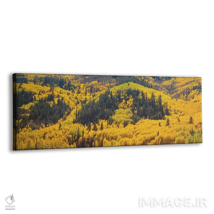 تابلو دکوراتیو Dolores County, Colorado, USA" - "منظره پاییزی، شهرستان… اثر پانورامیک ایمجز - نمای پرسپکتیو محصول