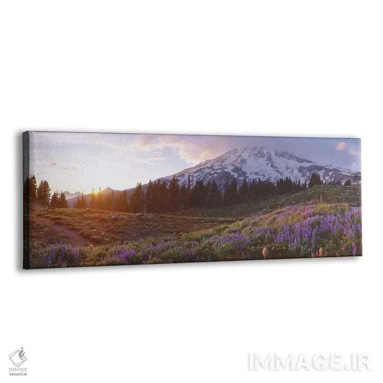 تابلو دکوراتیو Mount Rainier Wilderness, Pierce County, Washington, US… اثر پانورامیک ایمجز - نمای پرسپکتیو محصول