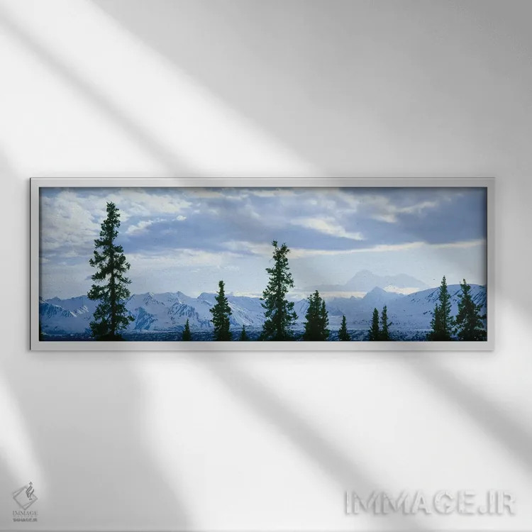 تابلو دکوراتیو Alaska Range, Denali National Park and Preserve, Alaska… اثر پانورامیک ایمجز - نمای قابدار سفید