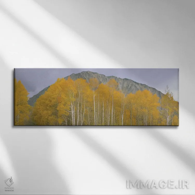 تابلو دکوراتیو Kebler Pass, Gunnison National Forest, Gunnison County… اثر پانورامیک ایمجز - نمای روبهرو روی دیوار