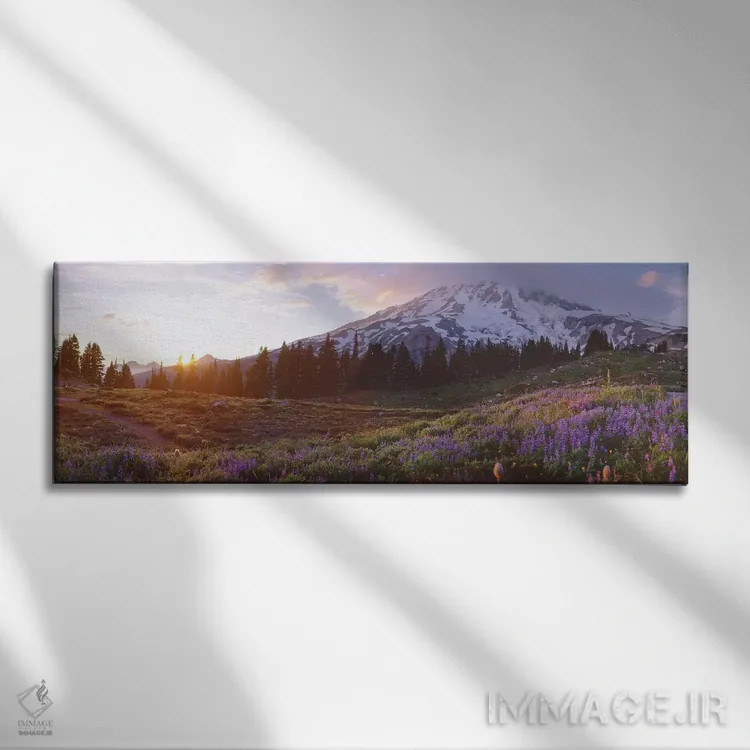 تابلو دکوراتیو Mount Rainier Wilderness, Pierce County, Washington, US… اثر پانورامیک ایمجز - نمای روبهرو روی دیوار