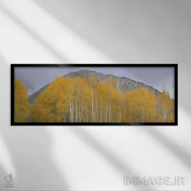 تابلو دکوراتیو Kebler Pass, Gunnison National Forest, Gunnison County… اثر پانورامیک ایمجز - نمای قابدار مشکی