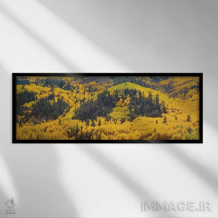 تابلو دکوراتیو Dolores County, Colorado, USA" - "منظره پاییزی، شهرستان… اثر پانورامیک ایمجز - نمای قابدار مشکی