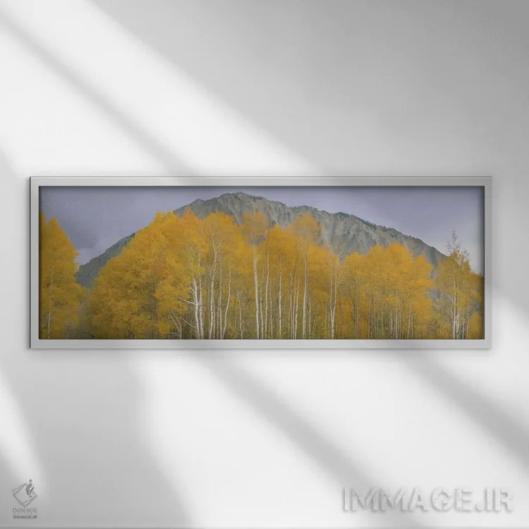 تابلو دکوراتیو Kebler Pass, Gunnison National Forest, Gunnison County… اثر پانورامیک ایمجز - نمای قابدار سفید