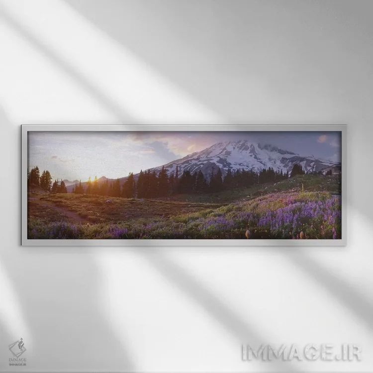 تابلو دکوراتیو Mount Rainier Wilderness, Pierce County, Washington, US… اثر پانورامیک ایمجز - نمای قابدار سفید