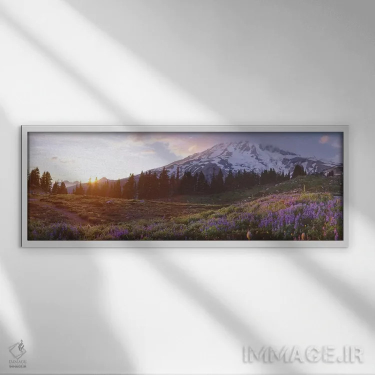 تابلو دکوراتیو Mount Rainier Wilderness, Pierce County, Washington, US… اثر پانورامیک ایمجز - نمای قابدار سفید