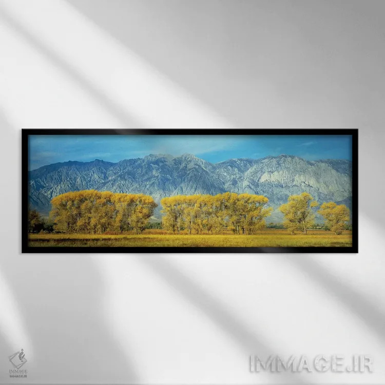 تابلو دکوراتیو "منظره پاییزی، جاده ایالات متحده 395، رشته کوه سیرا نوا… اثر پانورامیک ایمجز - نمای قابدار مشکی