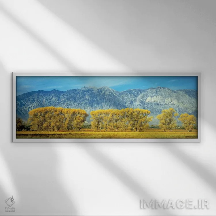 تابلو دکوراتیو "منظره پاییزی، جاده ایالات متحده 395، رشته کوه سیرا نوا… اثر پانورامیک ایمجز - نمای قابدار سفید