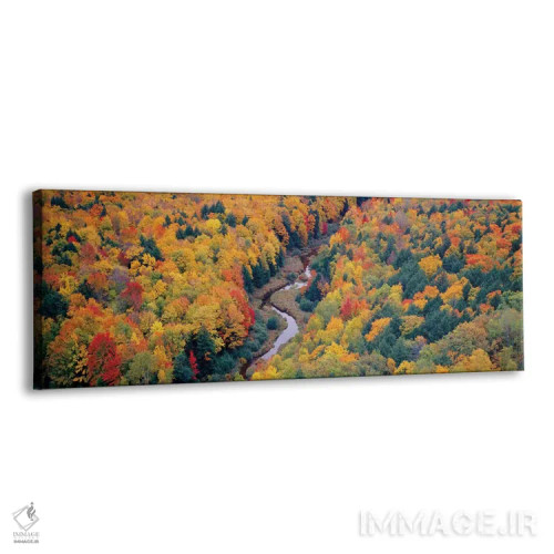 تابلو دکوراتیو "منظره پاییزی اول، پارک ایالتی مناطق وحشی کوه های خوک… اثر پانورامیک ایمجز - نمای پرسپکتیو محصول