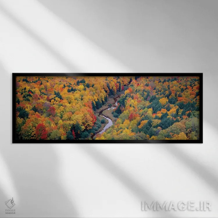 تابلو دکوراتیو "منظره پاییزی اول، پارک ایالتی مناطق وحشی کوه های خوک… اثر پانورامیک ایمجز - نمای قابدار مشکی