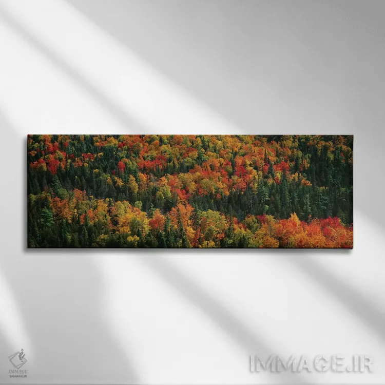 تابلو دکوراتیو "منظره پاییزی دوم، پارک ایالتی مناطق وحشی کوه های خوک… اثر پانورامیک ایمجز - نمای روبهرو روی دیوار