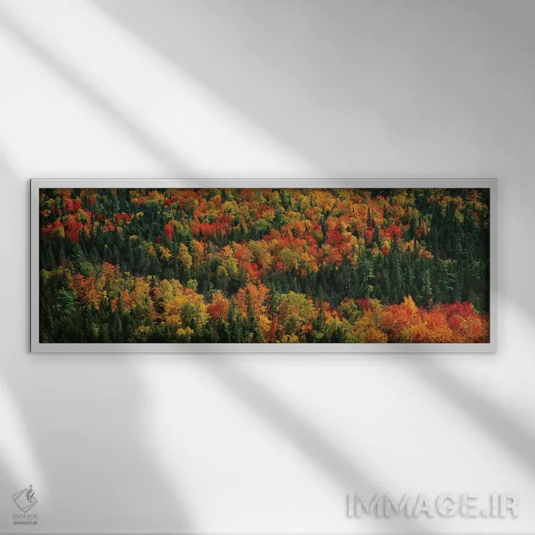 تابلو دکوراتیو "منظره پاییزی دوم، پارک ایالتی مناطق وحشی کوه های خوک… اثر پانورامیک ایمجز - نمای قابدار سفید