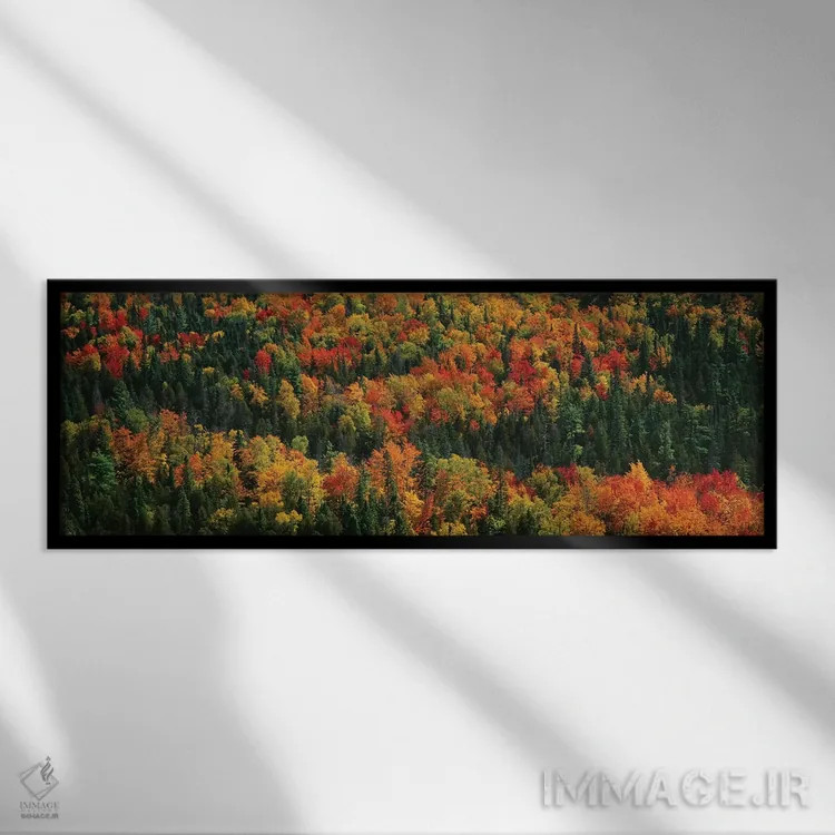 تابلو دکوراتیو "منظره پاییزی دوم، پارک ایالتی مناطق وحشی کوه های خوک… اثر پانورامیک ایمجز - نمای قابدار مشکی