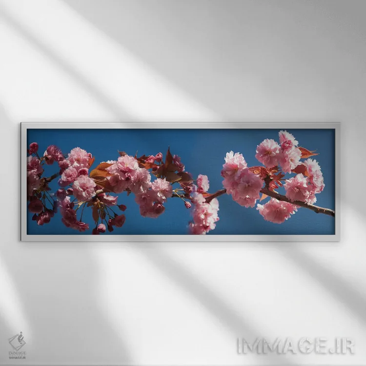 تابلو دکوراتیو "شاخه ای از شکوفه های گیلاس" اثر پانورامیک ایمجز - نمای قابدار سفید