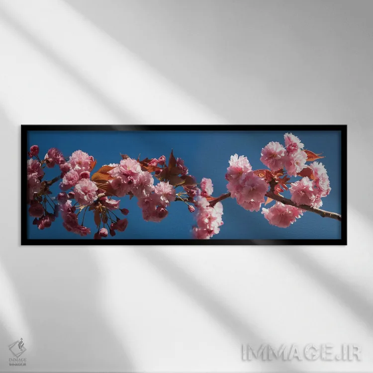 تابلو دکوراتیو "شاخه ای از شکوفه های گیلاس" اثر پانورامیک ایمجز - نمای قابدار مشکی