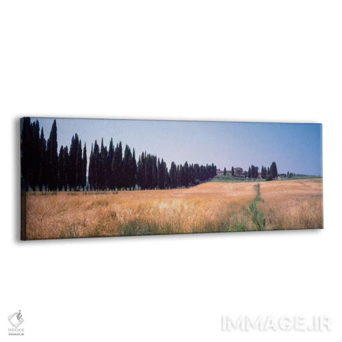 تابلو دکوراتیو "منظره روستایی دوم، توریتا دی سی نا، استان سی نا، منطقه… اثر پانورامیک ایمجز - نمای پرسپکتیو محصول