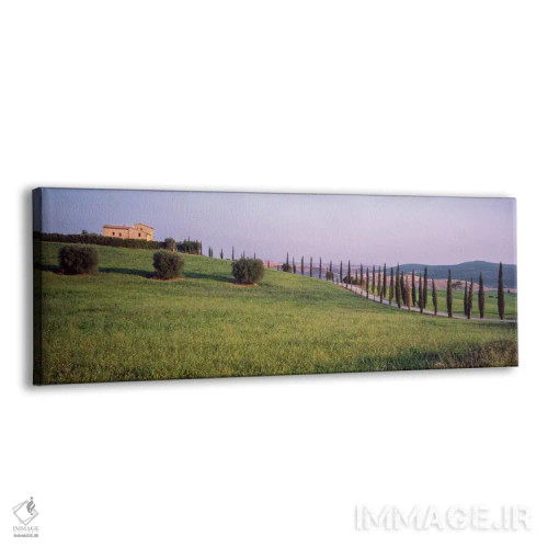 تابلو دکوراتیو "منظره روستایی، پیئنزا، استان سی نا، منطقه توسکانی، ایت… اثر پانورامیک ایمجز - نمای پرسپکتیو محصول