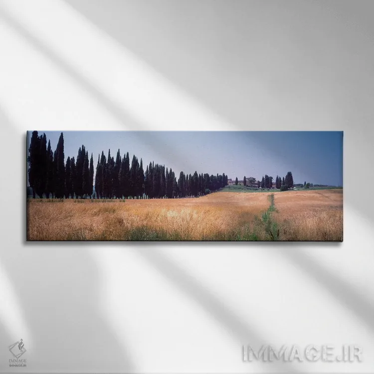 تابلو دکوراتیو "منظره روستایی دوم، توریتا دی سی نا، استان سی نا، منطقه… اثر پانورامیک ایمجز - نمای روبهرو روی دیوار