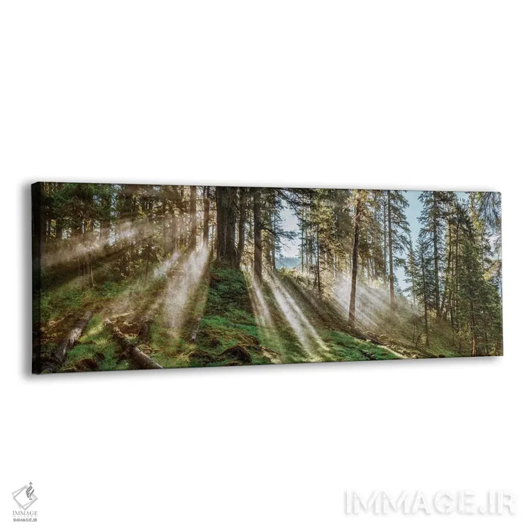 تابلو دکوراتیو "منظره جنگلی، آلاسکا، ایالات متحده آمریکا" اثر پانورامیک ایمجز - نمای پرسپکتیو محصول