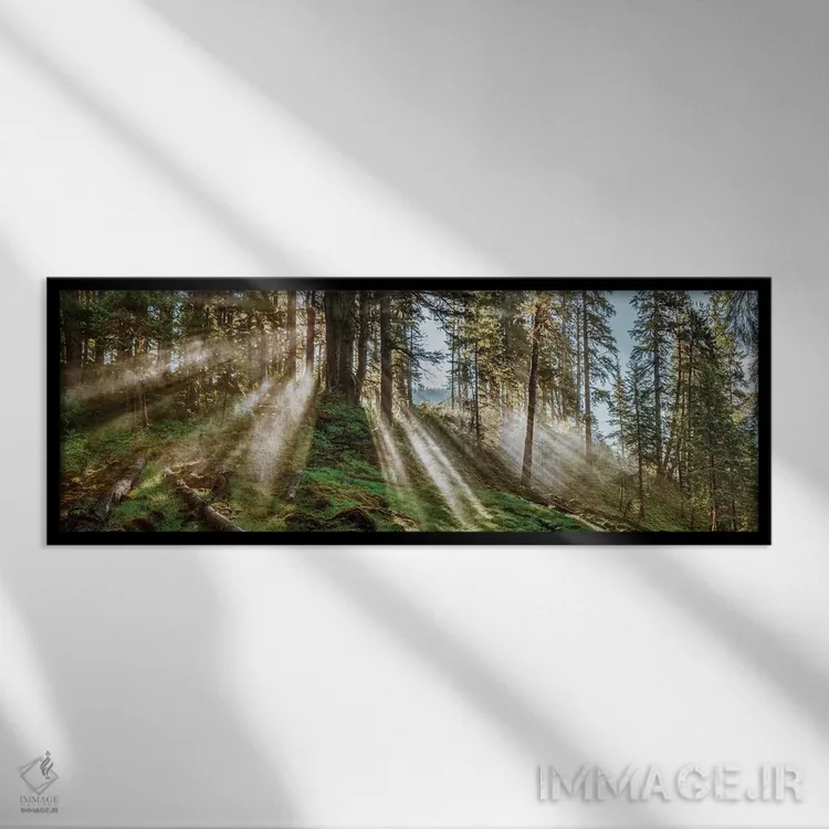 تابلو دکوراتیو "منظره جنگلی، آلاسکا، ایالات متحده آمریکا" اثر پانورامیک ایمجز - نمای قابدار مشکی