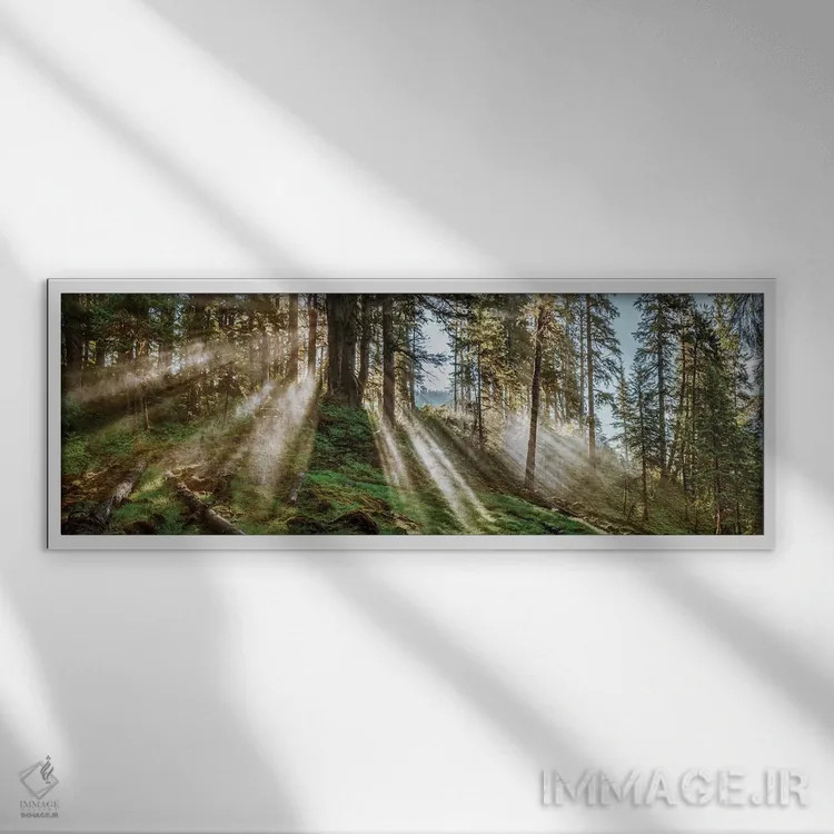 تابلو دکوراتیو "منظره جنگلی، آلاسکا، ایالات متحده آمریکا" اثر پانورامیک ایمجز - نمای قابدار سفید