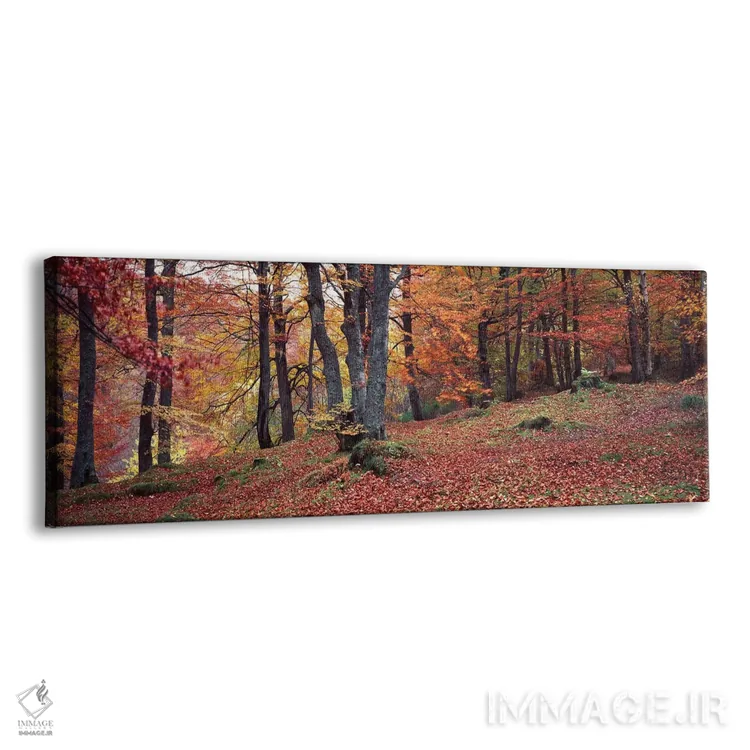 تابلو دکوراتیو درختان بلوط در پاییز، آبرفلدی، پرت و کینروس، اسکاتلند اثر پانورامیک ایمجز - نمای پرسپکتیو محصول